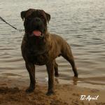 Нажмите для просмотра ronald27_t1.jpg