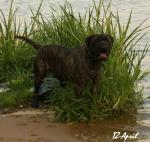 Нажмите для просмотра ronald28_t1.jpg