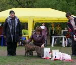 Нажмите для просмотра aurora45_t1.jpg