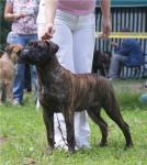 Нажмите для просмотра aurora48_t1.jpg