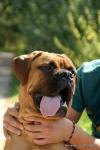 puppies_021_t1.jpg