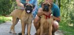 puppies_024_t1.jpg