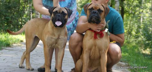 puppies_024.jpg
