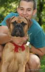 puppies_026_t1.jpg