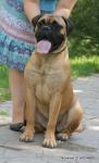 puppies_044_t1.jpg