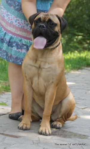 puppies_044.jpg