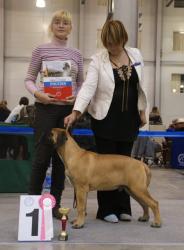 Нажмите для просмотра 16_t1.jpg