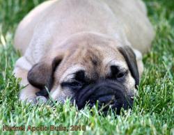 Нажмите для просмотра 18_t1.jpg