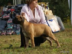 Нажмите для просмотра 19_t1.jpg