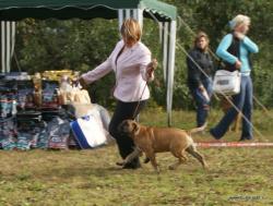 Нажмите для просмотра 23_t1.jpg