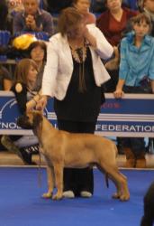 Нажмите для просмотра 2_t1.jpg