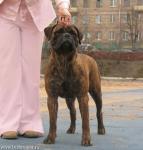 Нажмите для просмотра reya13_t1.jpg