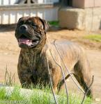 Нажмите для просмотра reya18_t1.jpg