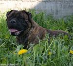 Нажмите для просмотра reya20_t1.jpg