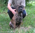 Нажмите для просмотра reya3_t1.jpg