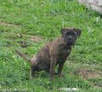 Нажмите для просмотра reya4_t1.jpg