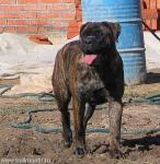 Нажмите для просмотра reya5_t1.jpg