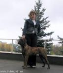 Нажмите для просмотра reya7_t1.jpg