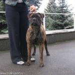 Нажмите для просмотра reya8_t1.jpg