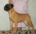 urso1_t1.jpg