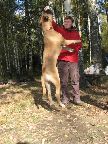 ruma4.jpg